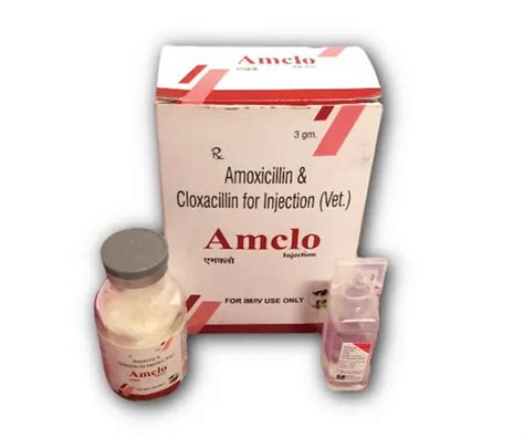 Amclo Amoxicillin And Cloxacillin For Injection (Vet) at Rs 200/box ...