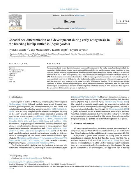 Pdf Gonadal Sex Differentiation And Development During Early Ontogenesis In The Breeding