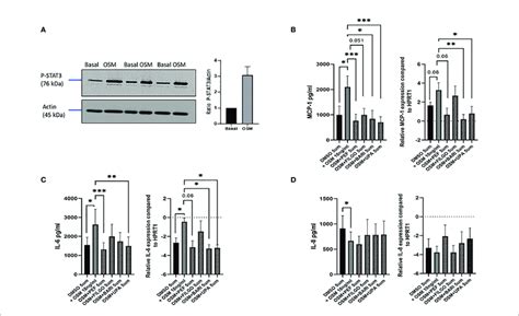 Effect Of Jaki On The Osm Driven Expression Of Pro Inflammatory