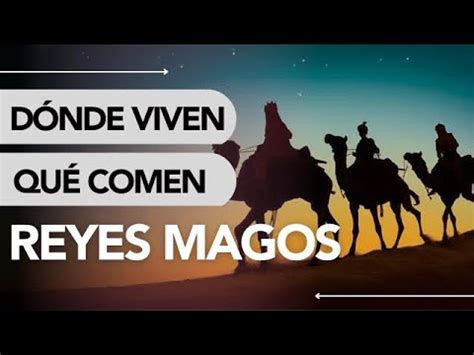 D Nde Viven Los Reyes Magos Qu Comen Realmente Youtube