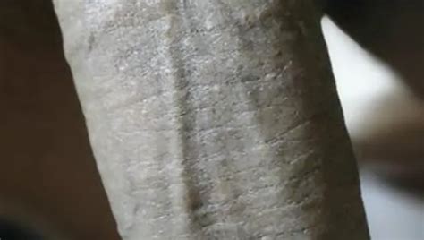 Toy In The Shower Couldn T Resist The Urge Gay Amateur Porn By Faphouse Xhamster