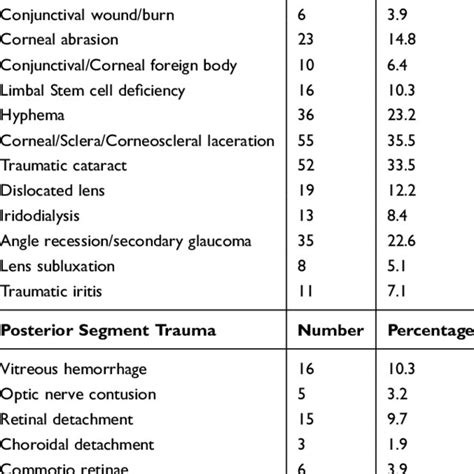 Diagnosis Of Fireworks Related Ocular Injuries Download Scientific Diagram