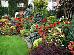 Магазин саженцев и садовых растений с доставкой по Москве и МО