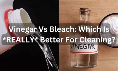 Bleach Vs Vinegar Which Is Really Better For Cleaning