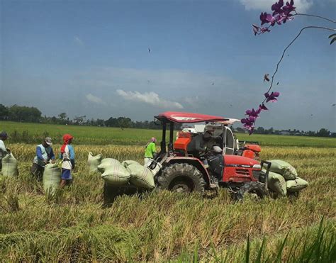 Petani Deli Serdang Manfaatkan Csa Simurp Untuk Tingkatkan Produktivitas