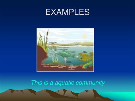 Living Things In An Ecosysytem Ppt Download