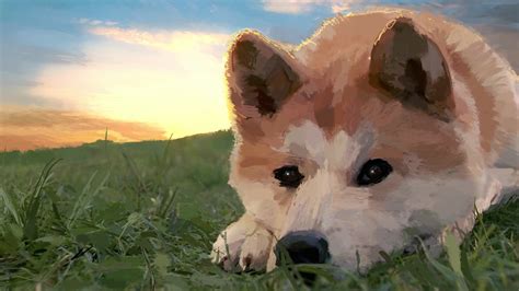 Pc Shiba Inu Hd Live Wallpaper