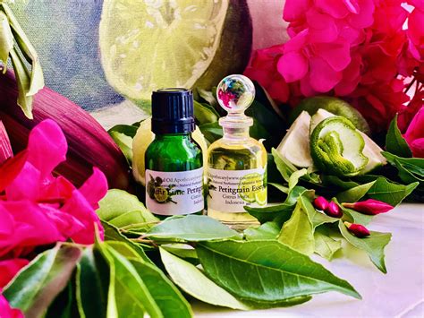 Kaffir Lime Essential Oil Essential Oil Apothecary