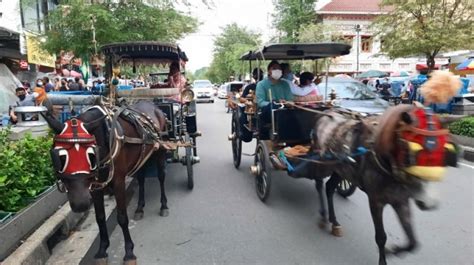 Sehari Baru Dapat Sekali Trip Begini Curhatan Kusir Andong Jogja Di