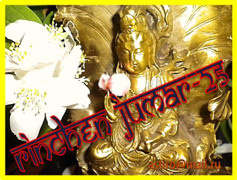 Ягоды Годжи в Украине /Одесса/ :: Tibetan medicine *: РИНЧЕН №5 ...