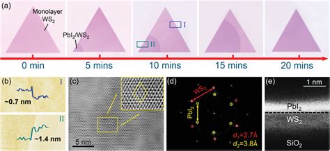 A Optical Images Of The Pbi Ws Obtained At Different Growth Time B