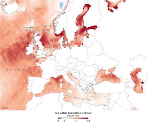 Eccezionale Ondata Di Calore Marina Nel Nord Europa Spiccano Le