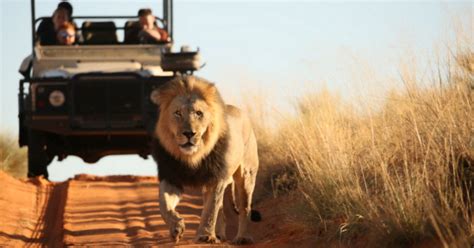 south africas top tourist attractions africa geographic