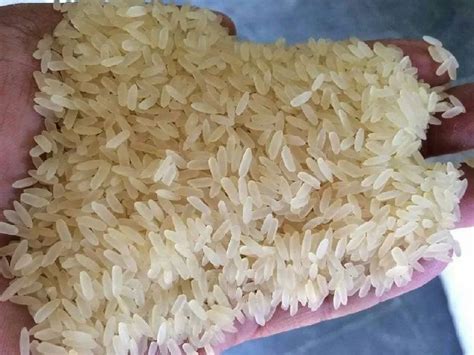 Indian Parboiled Rice Packaging Size 25 Kg At Rs 33 5 Kg In Noida