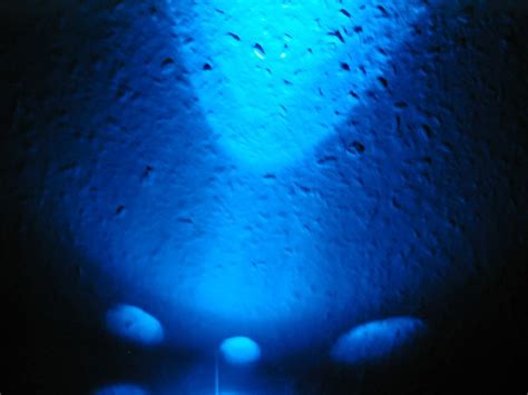 bluelight  photo  freeimages