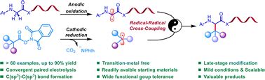 Metal Free Decarboxylative C Sp C Sp Bond Formation For The