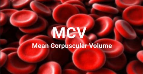 Mean Corpuscular Hemoglobin (MCH) blood test- High and Low levels interpretation, Normal Range