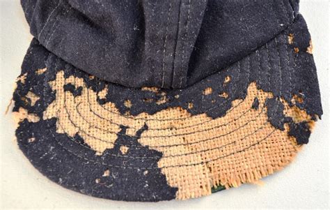 Как избавиться от моли в доме или квартире и лучшие народные средства