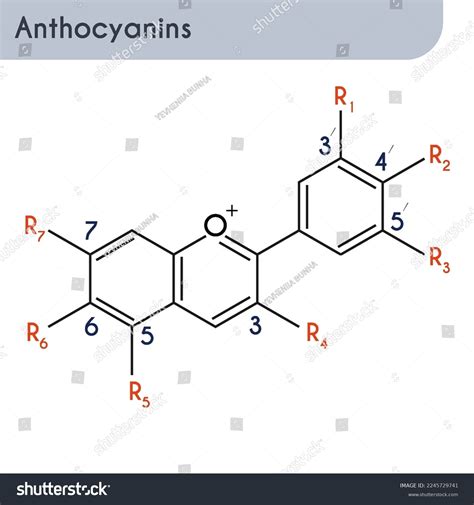 Fórmula Química Molecular De La Antocianina Vector De Stock Libre De