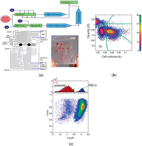 Ijms Free Full Text Microfluidic Impedance Flow Cytometry Enabling