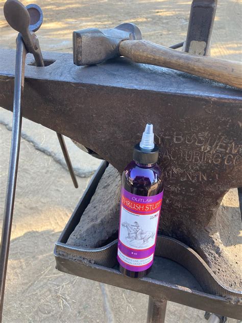 From Calcutta To Connecticut - I’ve always loved to take pictures, even