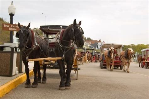 Mackinac Island Carriage Tours