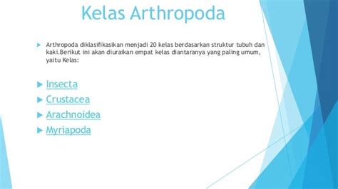 Arthropoda Ppt