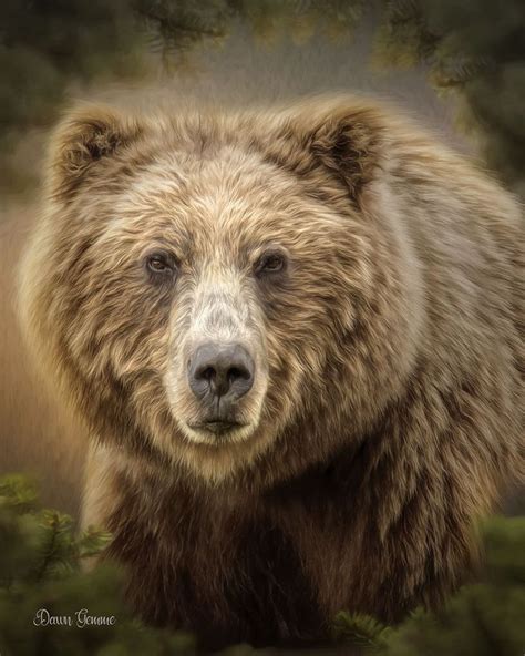 Curious Grizzly Bear Digital Oil Painting Artwork Painting Digital