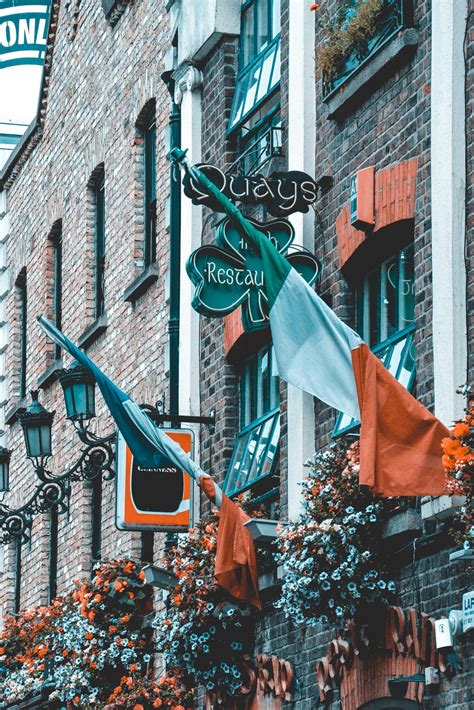 Efficient Resource Allocation: Maximizing Productivity for Irish