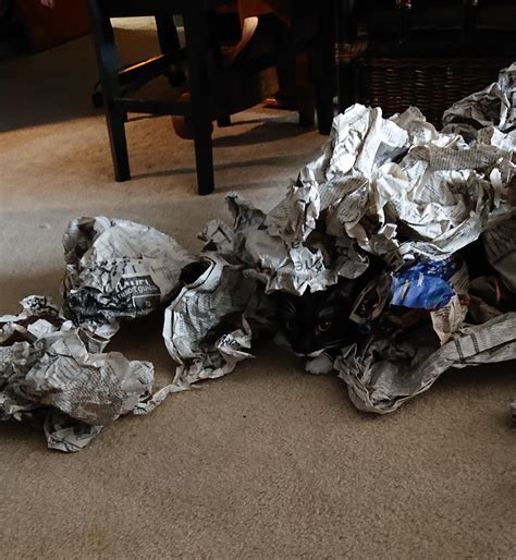 1982 Best Stuffing Images On Pholder Food Porn Food And Eatsandwiches