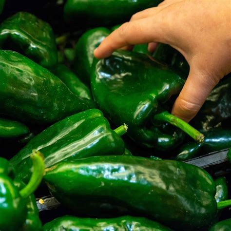 how to prepare a poblano pepper 4