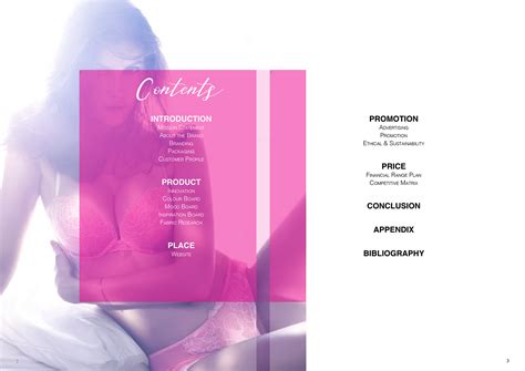 Lingerie Business Plan Behance