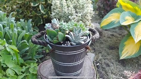 Мини- садик из суккулентов # Minigarten von Sukkulenten... - YouTube