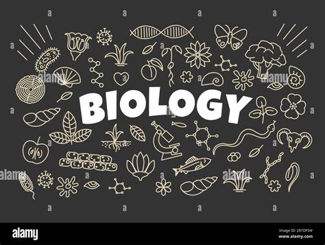 Plant Biology Wallpaper 