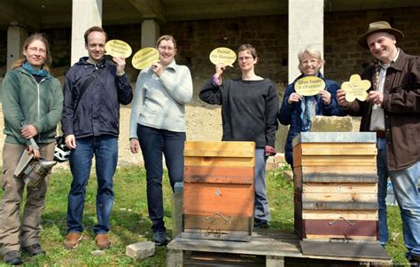 Kassels Stadtbienen Teil 1 Greenpeace Kassel