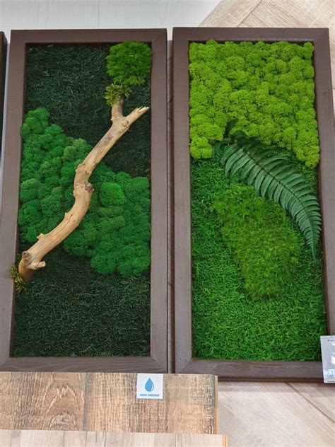 Pin di Iren su картины из мха | Giardino a parete, Idee giardino ...