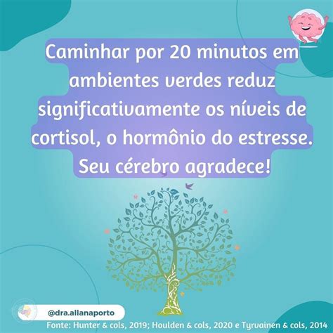 Estudos científicos mostram que poucos minutos em contato a