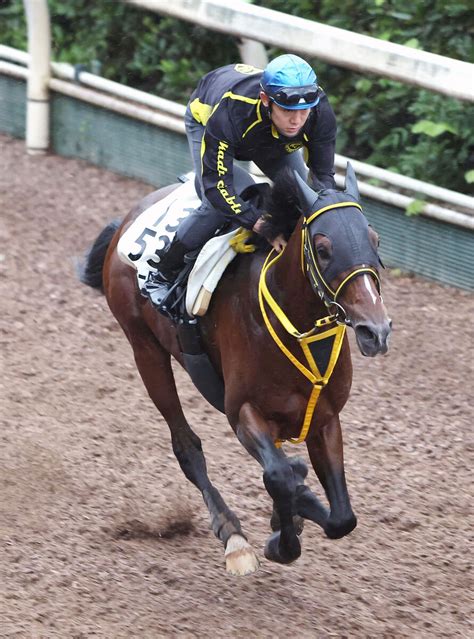 【アルゼンチン共和国杯】前日の単勝1番人気はテーオーロイヤルの3・9倍 キラーアビリティが続く スポーツ報知