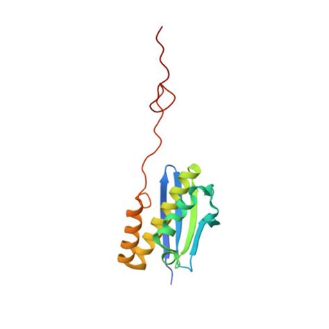 Rcsb Pdb Bln The Structure Of Human Pdcd Bound To The S Eif A