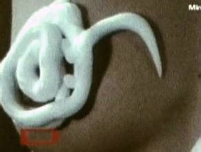 PLATONISCHE LIEBE NUDE SCENES AZNude