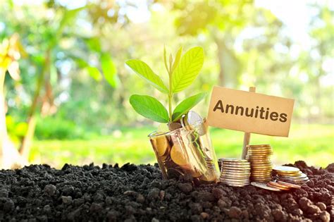 Whats The Difference Between Immediate And Deferred Annuities For