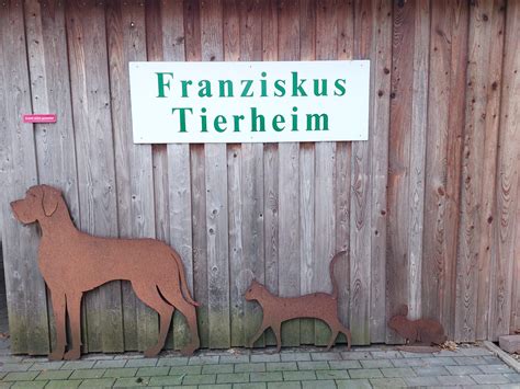 CatsOnly-Hamburg. Eine Tierarztpraxis nur für Katzen. - Gesundheit der