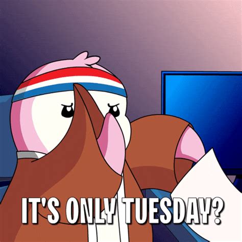 100 Hilarious Happy Funny Tuesday S Of The Week Funzumo
