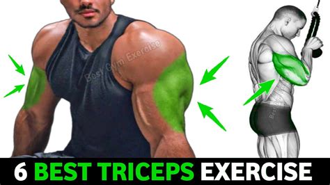 tricep exercises triceps workout youtube