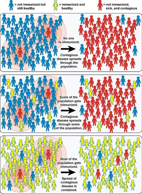 What Is Herd Immunity And How Many People Need To Be Vaccinated To