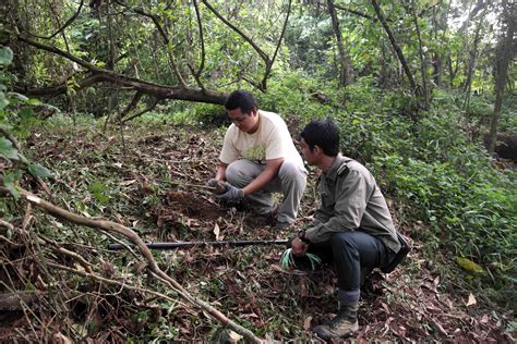 GE Staff Plant 300 Trees At KDCF A COMMUNITY WITH A FOREST AT ITS HEART