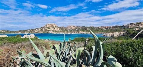 Cosa Fare E Cosa Vedere Nell Arcipelago Della Maddalena