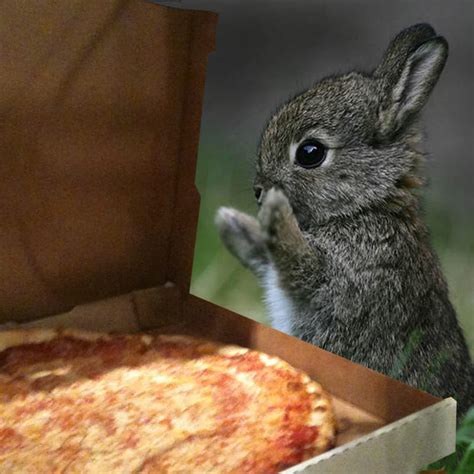 Saucy Mama's Pizzeria | Big Bear Lake CA