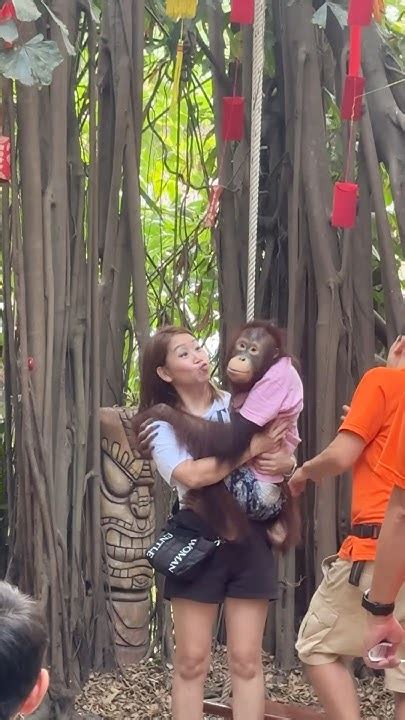 Bangkok Safari World Vlog ️ Youtube