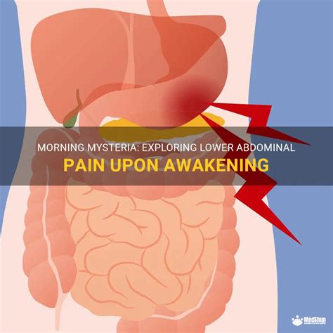 Morning Mysteria Exploring Lower Abdominal Pain Upon Awakening Medshun